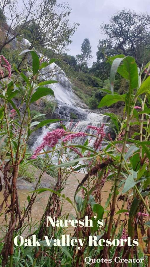 Oak Valley Resorts Kotagiri Ngoại thất bức ảnh